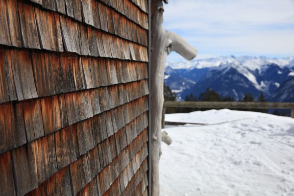 Cedar Siding Repair in Vista