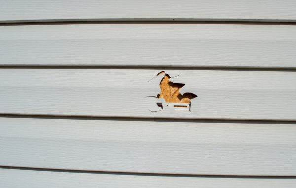 Siding Hole Patching in Vista